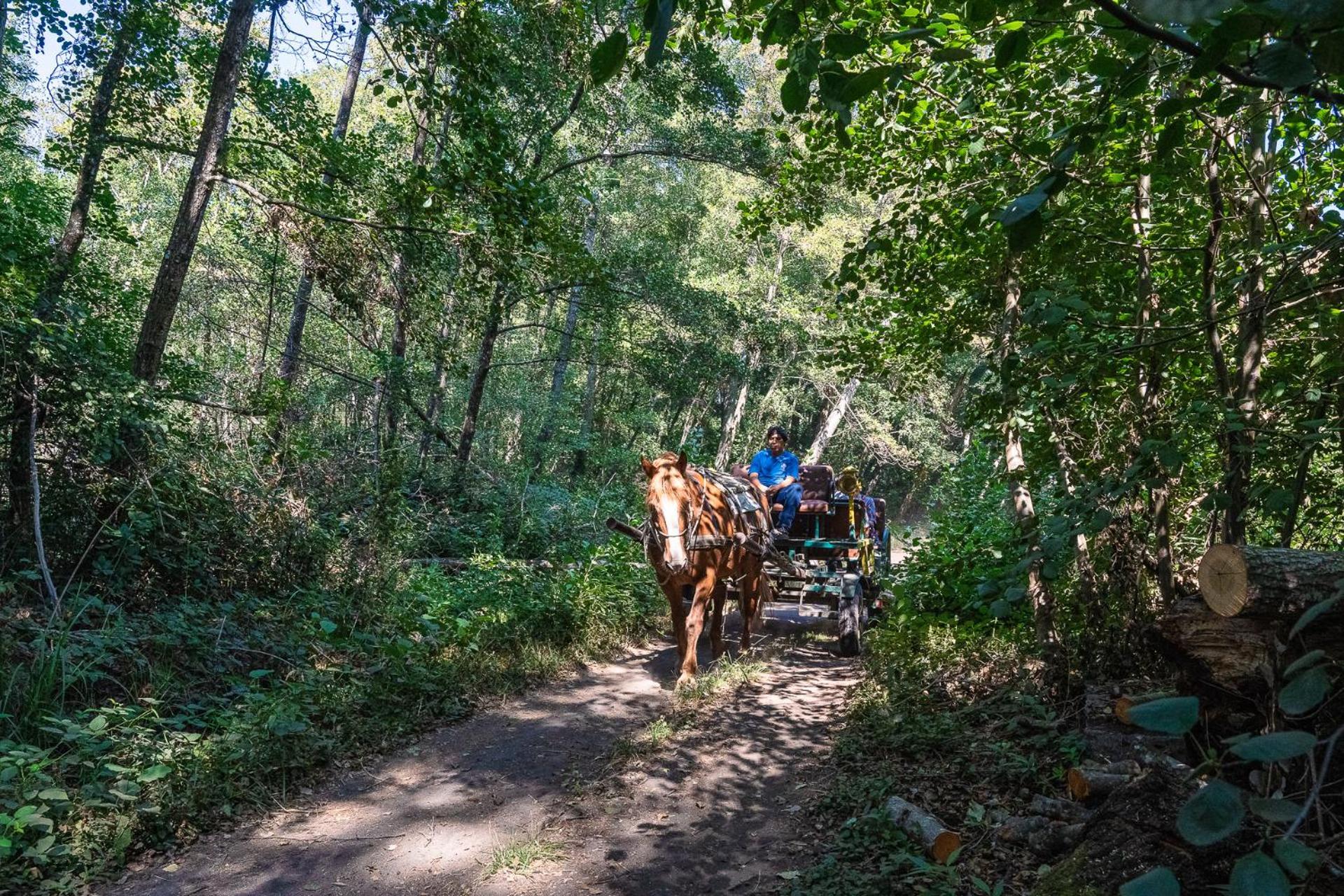 Hotel Salto Del Laja Лос-Анхелес Экстерьер фото
